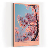 Paul Sinus Wandbild in 40x60cm Sakura Moment – zarte Kirschblüten im warmen Licht vor sanftem Himmel