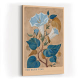 Paul Sinus Wandbild in 40x60cm The Blue Vine Botanische Illustration einer blauen Kletterpflanze mit feinen Blüten und Blättern