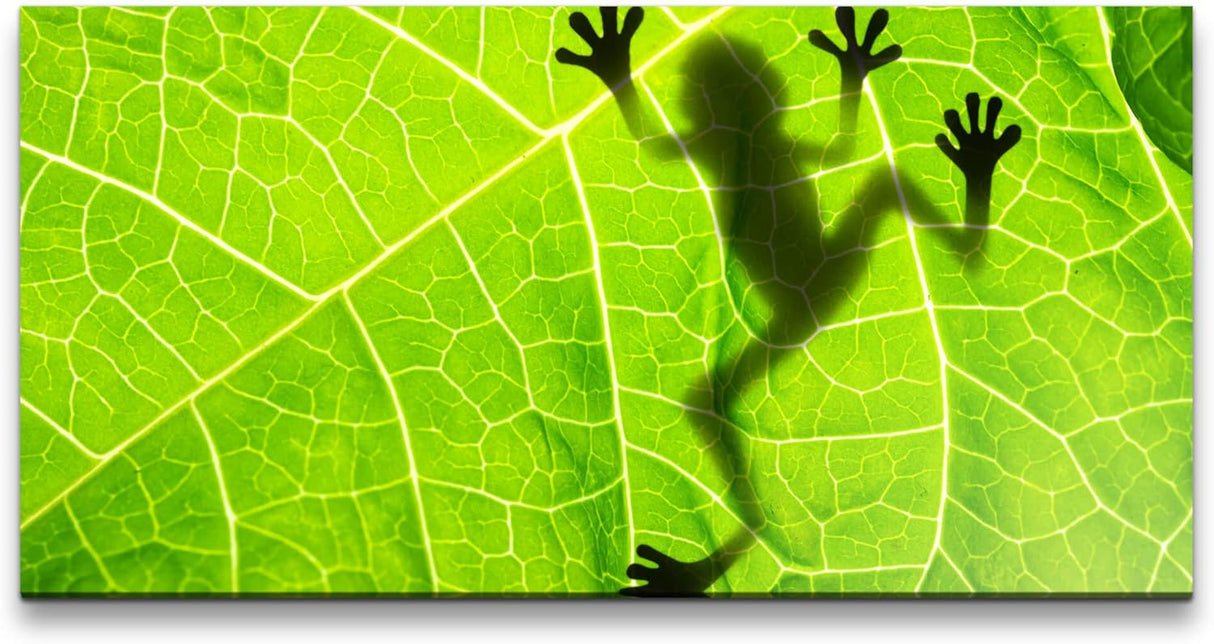 Frosch hinter einem Blatt ca. 130x70cm Wandbild inklusive Schattenfugenrahmen schwarz - Panorama Leinwand Bild XXL Format Wandbilder Wohnzimmer Wohnung Deko Kunstdrucke