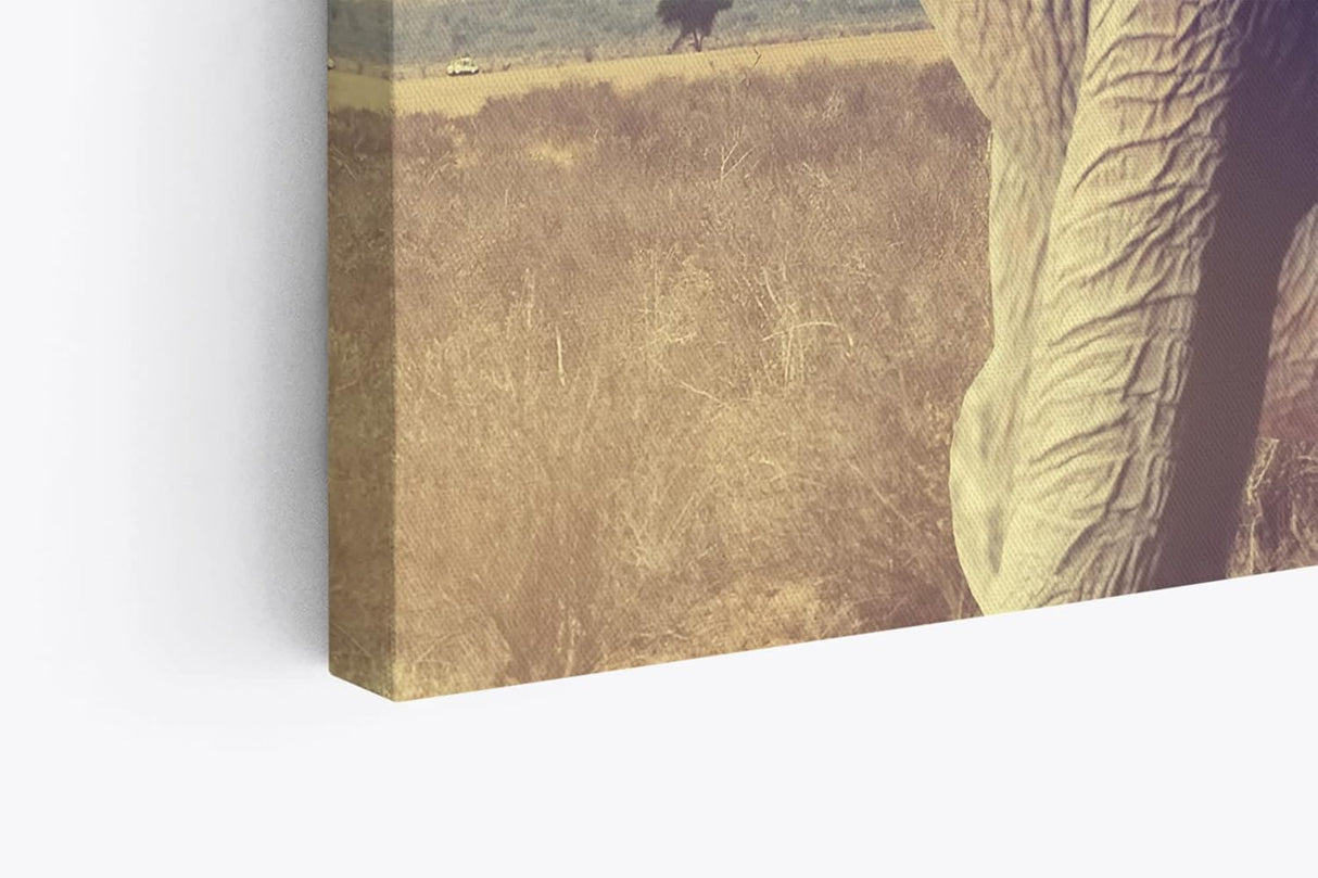Paul Sinus Wandbild 120x80cm Elefant Stoßzähne Tierfotografie Afrika Safari