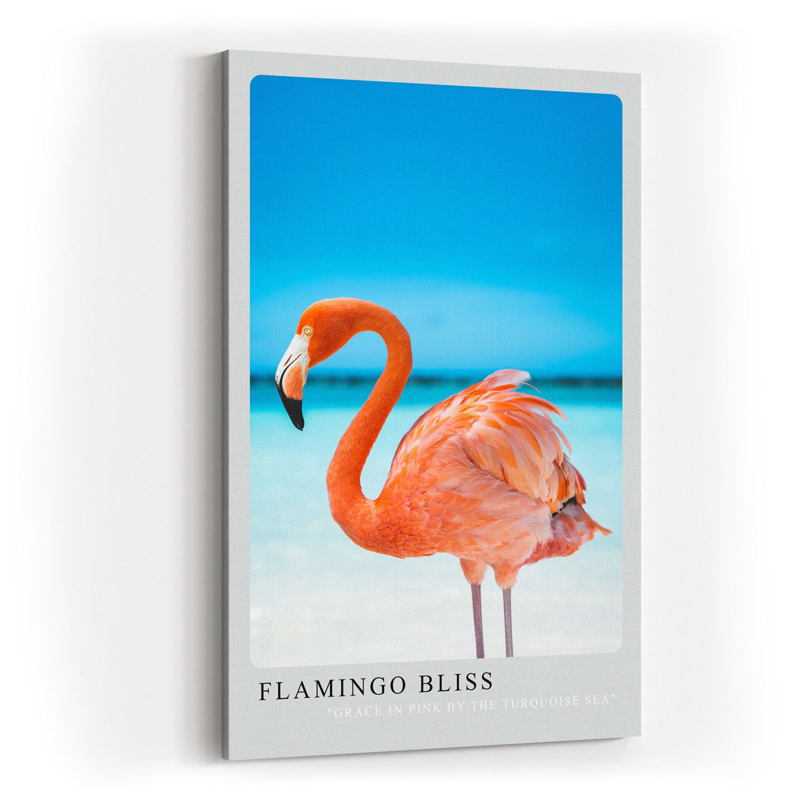 Paul Sinus Kunstdruck 40x60cm Flamingo Bliss mit rosa Flamingo am türkisfarbenen Meer