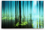 Paul Sinus Wandbild 120x80cm Wald Bäume See Wasserwald Kunstvoll Sonnenlicht Blau