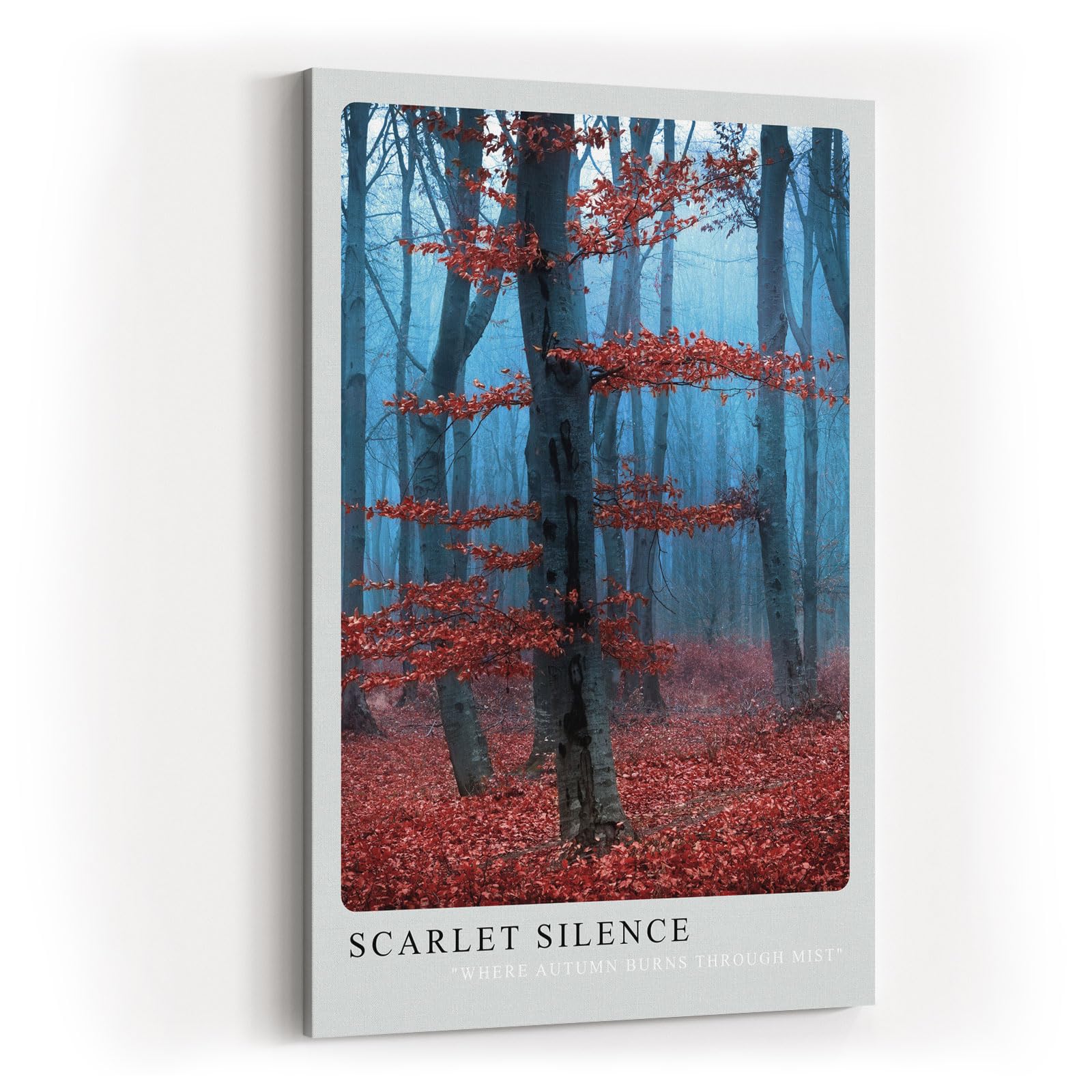 Paul Sinus Kunstdruck 40x60cm Herbst Wald Nebel Rot Bäume Stille Natur Scarlet Silence