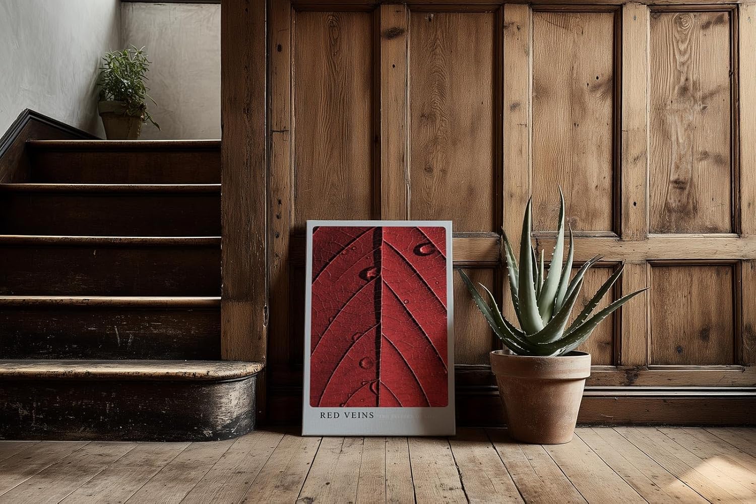Paul Sinus Kunstdruck 40x60cm Red Veins – Makroaufnahme eines roten Blattes mit strukturierten Adern und Wassertropfen