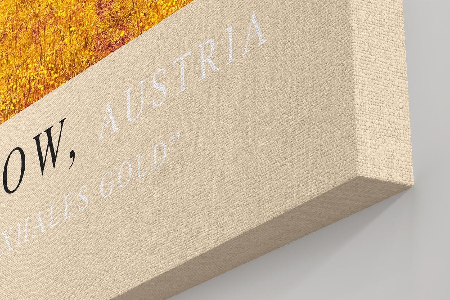 Paul Sinus Kunstdruck 40x60cm Alpine Meadow – goldene Bergwiese in abendlichem Licht in Österreich