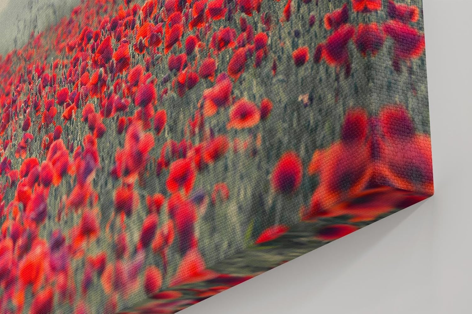 Sinus Art Wandbild 120x80cm Friedliche Blumenlandschaft mit Weitblick und natürlicher Farbintensität