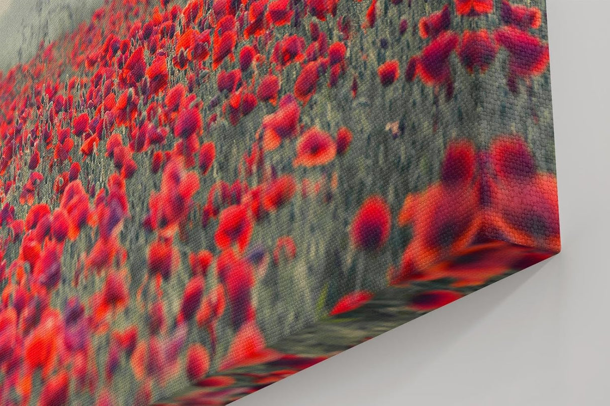 Sinus Art Wandbild 120x80cm Friedliche Blumenlandschaft mit Weitblick und natürlicher Farbintensität