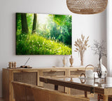 Paul Sinus Wandbild 120x80cm Wald Bäume Grün Pusteblumen Wiese Gras Sonnenschein