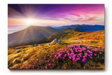 Sinus Art Wandbild 120x80cm Stimmungsvolles Landschaftsmotiv mit leuchtendem Himmel und blühender Wiese