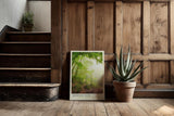 Paul Sinus Kunstdruck 40x60cm Wald Morgenstimmung Natur Pfad Licht grün Spaziergang Morning Path