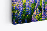 Paul Sinus Wandbild 120x80cm Island Landschaft Berg Blumen Blau See Natur