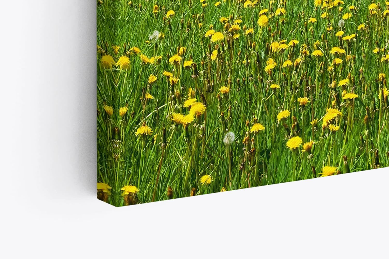 Paul Sinus Wandbild 120x80cm Landschaftsbild Wiese Bäume Natur Sommer blauer Himmel