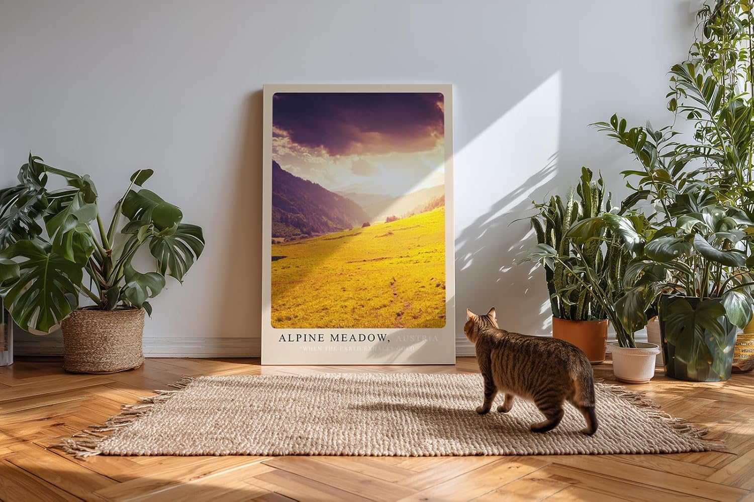 Paul Sinus Kunstdruck 40x60cm Alpine Meadow – goldene Bergwiese in abendlichem Licht in Österreich