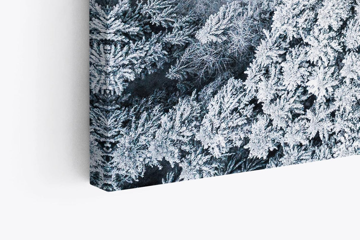 Paul Sinus Wandbild 120x80cm Wald aus der Vogelperspektive Tannenwald Waldstraße Schnee Winter