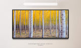 Herbst Birke ca. 130x70cm Wandbild inklusive Schattenfugenrahmen schwarz - Panorama Leinwand Bild XXL Format Wandbilder Wohnzimmer Wohnung Deko Kunstdrucke