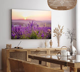 Paul Sinus Wandbild 120x80cm Lavendel Blumen Blüten Violett Sonnenuntergang Blumenwiese