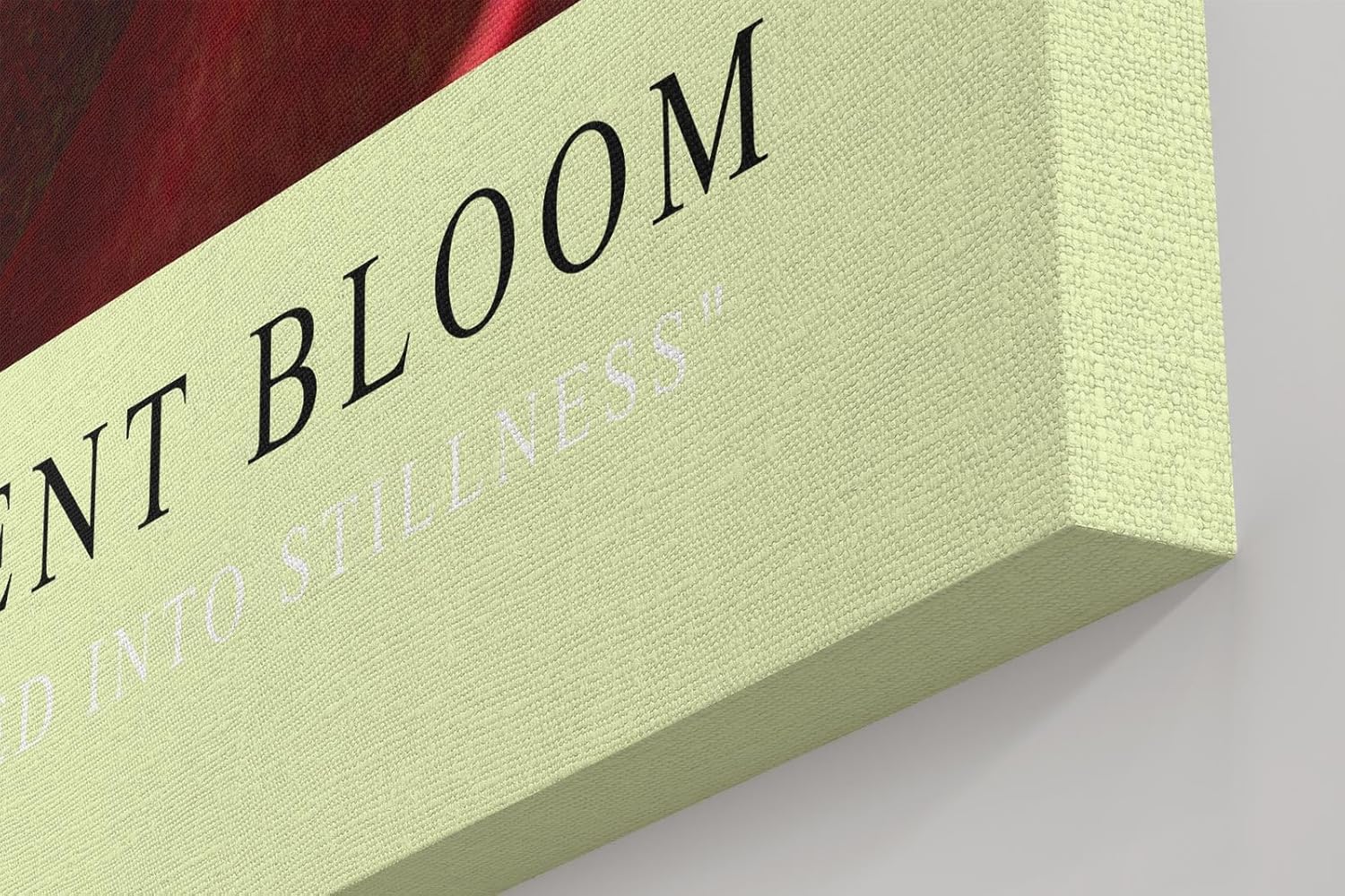 Paul Sinus Kunstdruck 40x60cm Red Succulent Bloom – Feuerrote Sukkulente in Nahaufnahme als modernes Kunstwerk