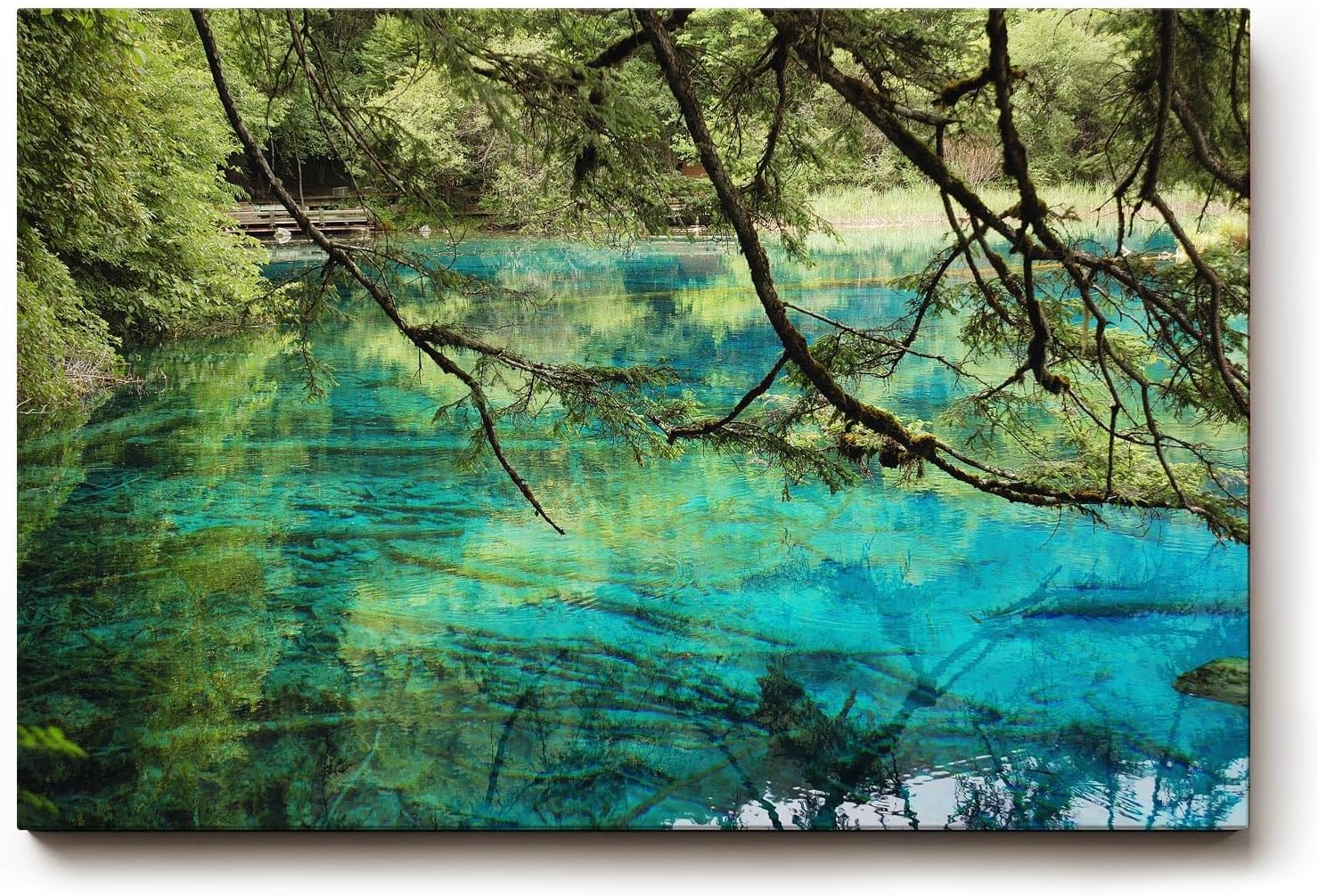 Sinus Art Wandbild 120x80cm Die Äste im Vordergrund und das klare Wasser erzeugen Tiefe und beruhigende Natürlichkeit