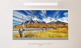 Tiere in Chile ca. 130x70cm Wandbild inklusive Schattenfugenrahmen weiss - Panorama Leinwand Bild XXL Format Wandbilder Wohnzimmer Wohnung Deko Kunstdrucke