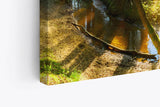 Paul Sinus Wandbild 120x80cm Wald Bäume Bach Sonnenstrahlen Natur Grün