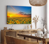 Paul Sinus Wandbild 120x80cm Sonnenblumen Blumenfeld Sonnenblumenfeld Sonnenuntergang