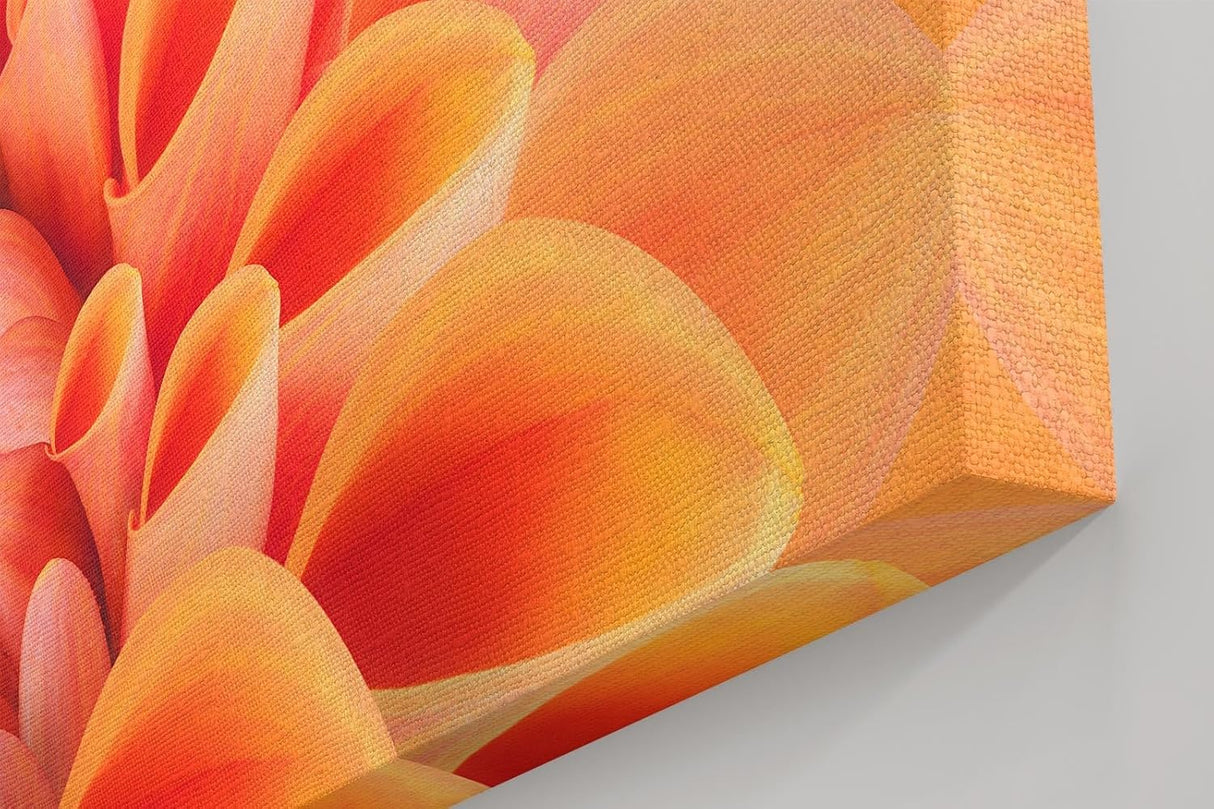 Sinus Art Wandbild 120x80cm Elegante Blütenkomposition in Apricot mit weichen Übergängen und lebendiger Struktur