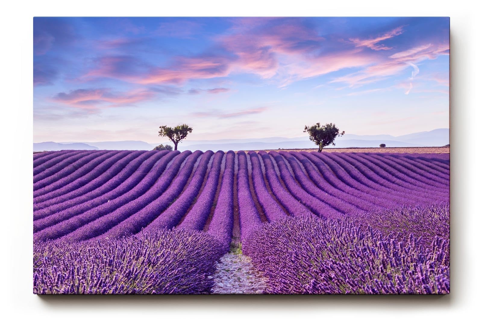 Sinus Art Wandbild 120x80cm Perfekt ausgerichtete Lavendelreihen unter farbigem Himmel für meditative Raumwirkung