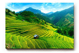 Sinus Art Wandbild 120x80cm Gestufte Reisterrassen in leuchtendem Grün vor Bergkulisse und weitem Himmel
