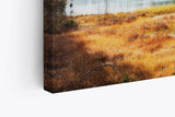 Paul Sinus Wandbild 120x80cm Alpen Berge Bergsee Natur Gebirge Alpensee Tannen