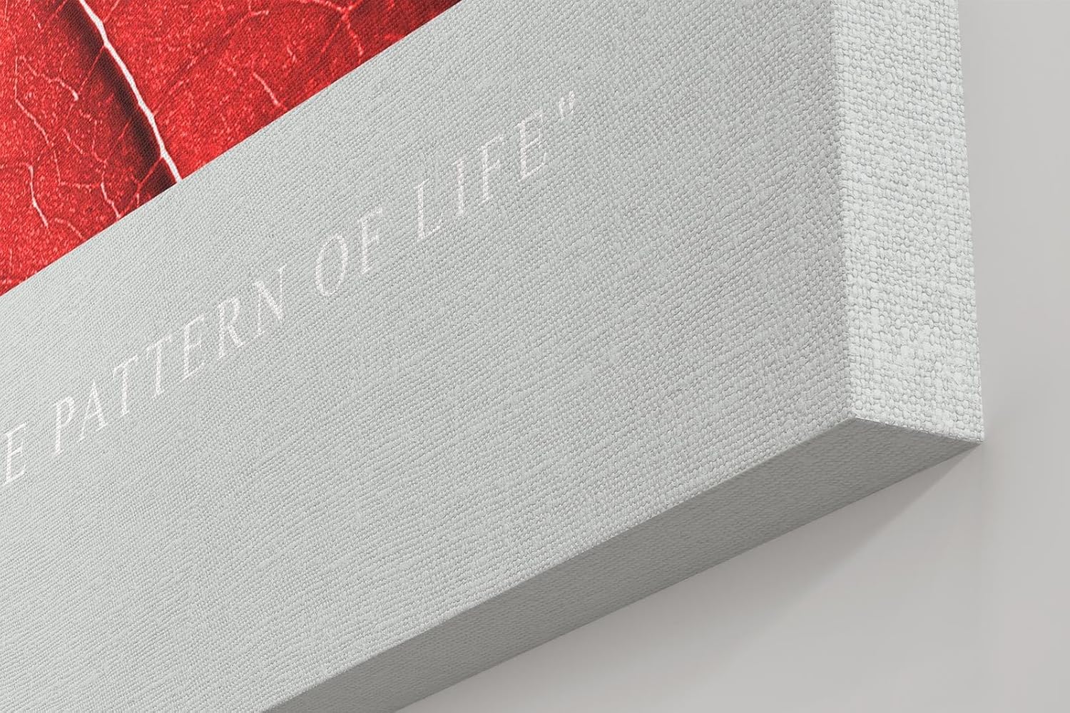 Paul Sinus Kunstdruck 40x60cm Red Veins – Makroaufnahme eines roten Blattes mit strukturierten Adern und Wassertropfen