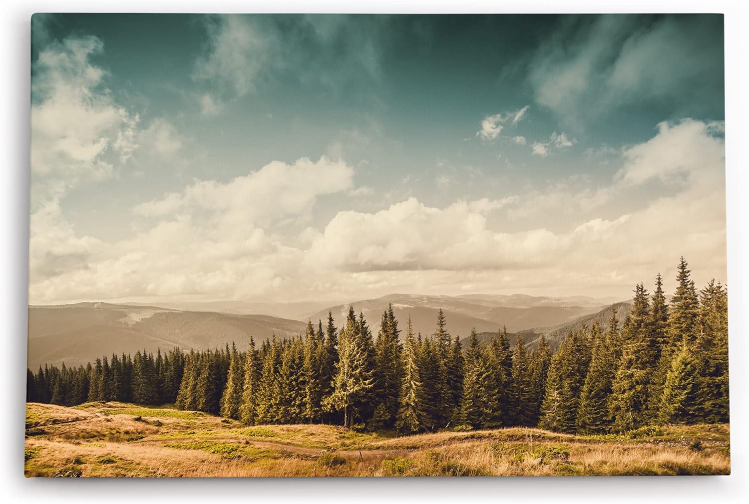 Paul Sinus Wandbild 120x80cm Natur Berge Landschaft Tannenwald Bäume weiße Wolken