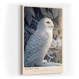 Paul Sinus Wandbild in 40x60cm Snowy Owl – elegante Schneeeule im Profil mit feiner Gefiederzeichnung vor winterlicher Kulisse