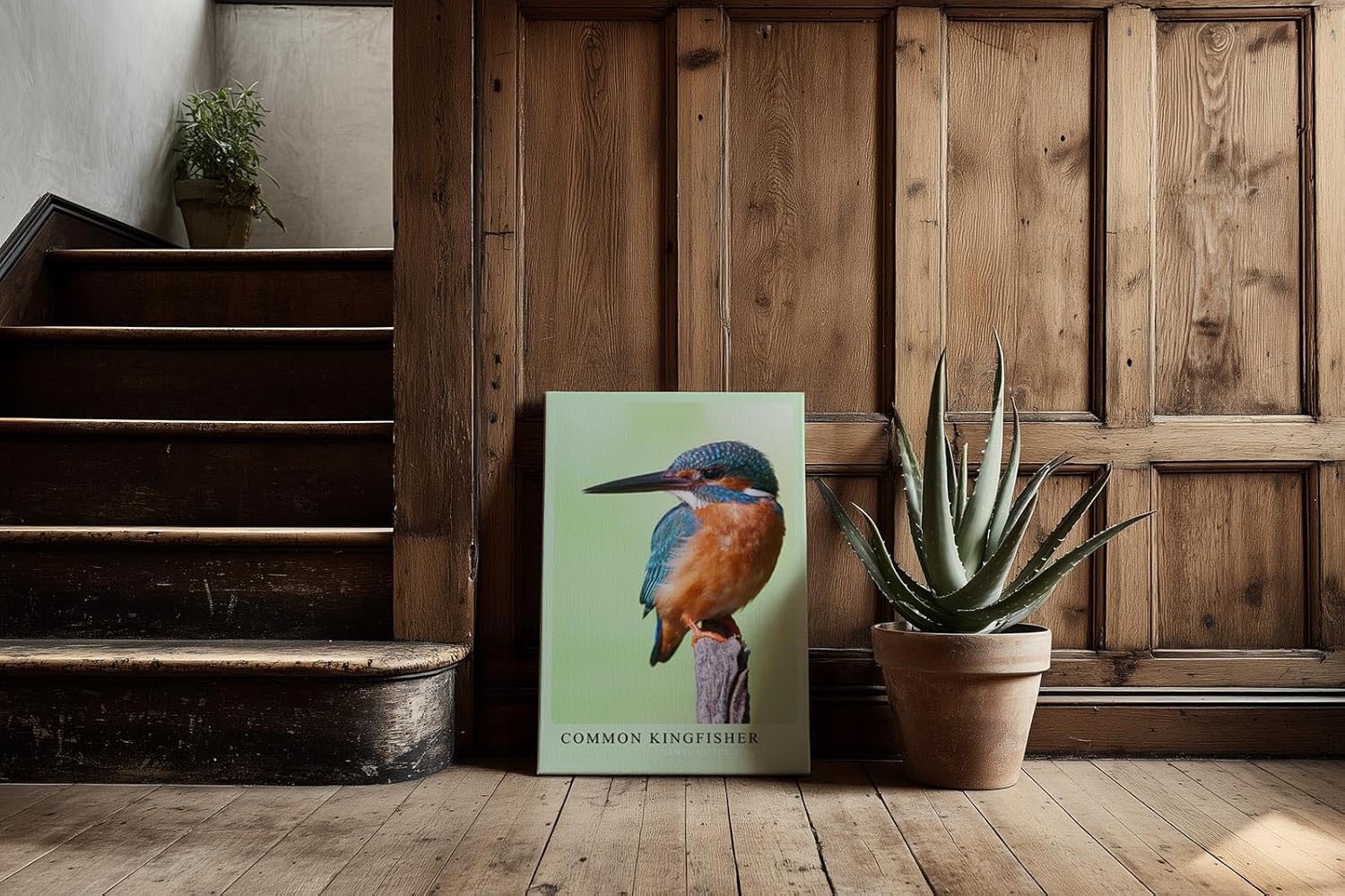 Paul Sinus Kunstdruck 40x60cm Common Kingfisher – Eisvogel auf Ast in brillanter Nahaufnahme mit leuchtenden Farben