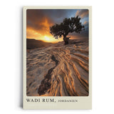 Paul Sinus Leinwandbild 80x120cm Wadi Rum Einsamer Wächter – Mystische Wüstenlandschaft mit Baum und dramatischem Sonnenuntergang in Jordanien, Natur