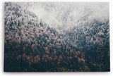 Paul Sinus Wandbild 120x80cm Tannenwald Wald Berg Natur Bäume Nebel Kunstvoll