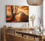 Paul Sinus Wandbild 120x80cm Große Eiche Baum Herbst Herbstblätter Sonnenstrahl Wald