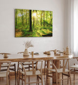 Paul Sinus Wandbild 120x80cm Wald Bäume Sonnenschein Grün Natur Sonnenstrahl