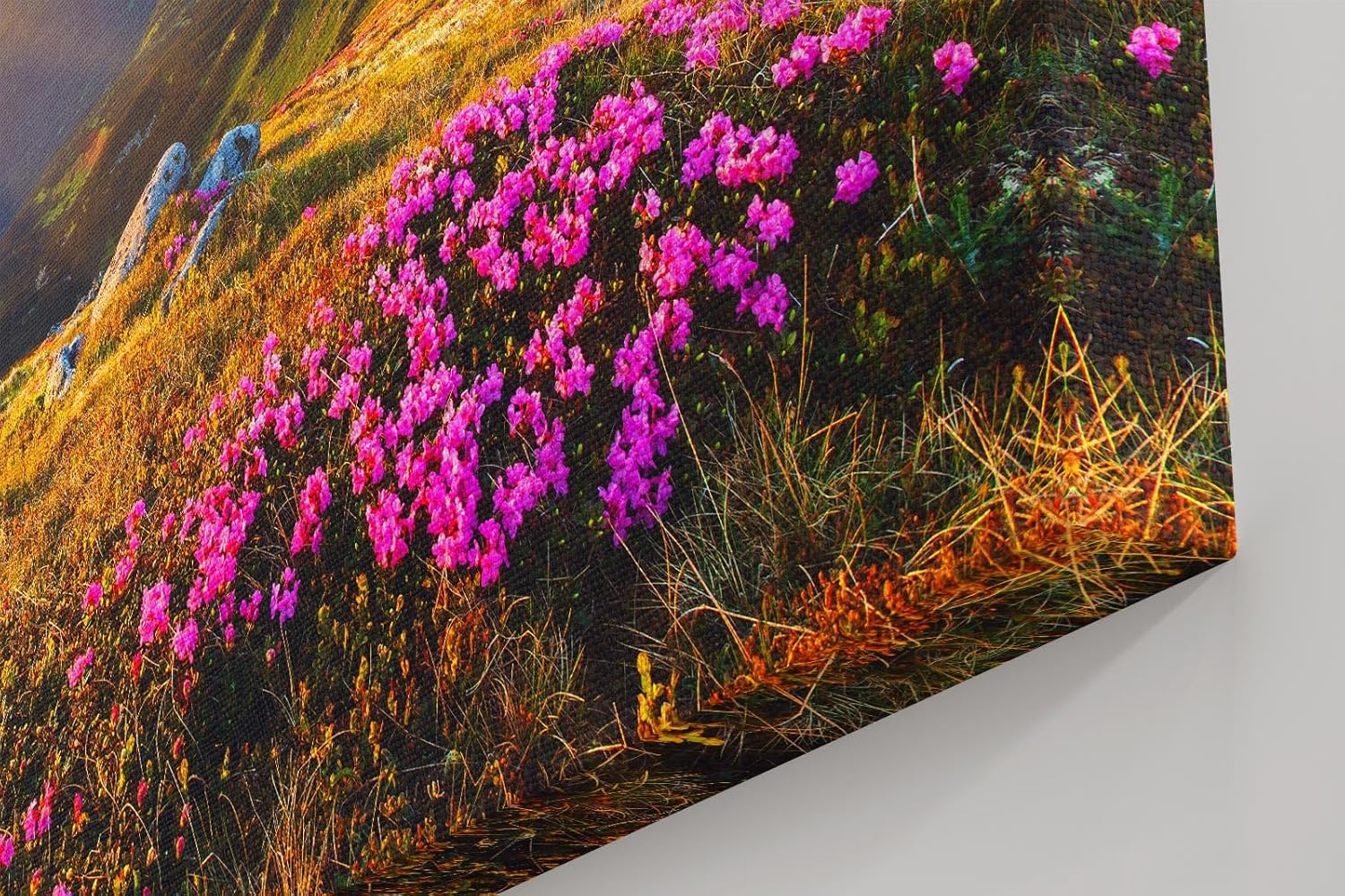 Sinus Art Wandbild 120x80cm Stimmungsvolles Landschaftsmotiv mit leuchtendem Himmel und blühender Wiese