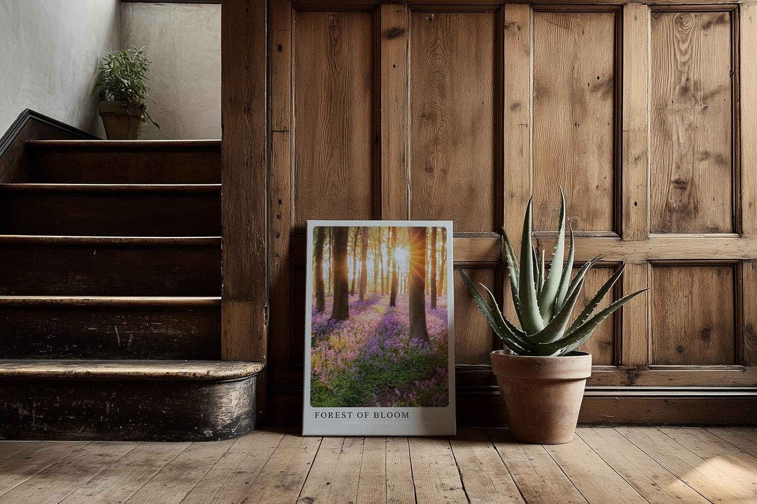 Paul Sinus Kunstdruck 40x60cm Forest of Bloom mit lila Blütenteppich und Sonnenstrahlen im Wald