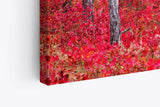 Paul Sinus Wandbild 120x80cm Fichtenwald Bäume Wald Rot Kunstvoll Fichten