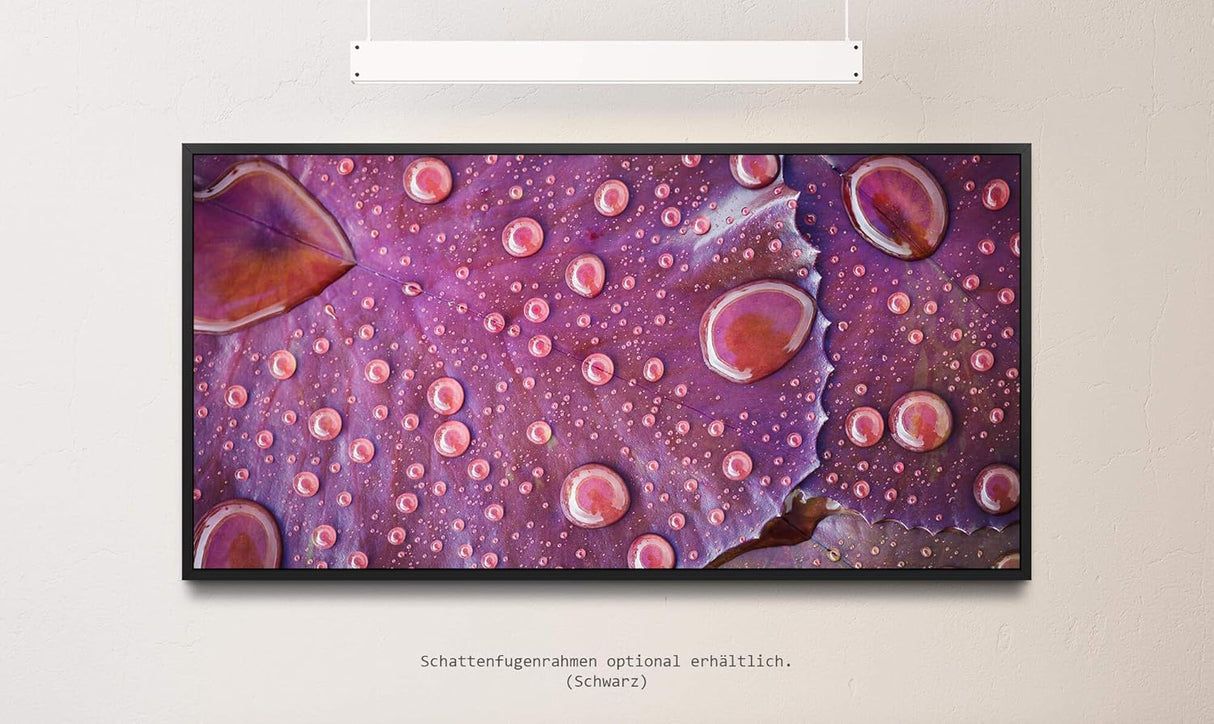 Wassertropfen auf einem Blatt ca. 130x70cm Wandbild inklusive Schattenfugenrahmen schwarz - Panorama Leinwand Bild XXL Format Wandbilder Wohnzimmer Wohnung Deko Kunstdrucke