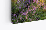 Paul Sinus Wandbild 120x80cm Wald Wildblumen Blumen Waldpfad Sonnenschein Bäume