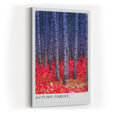 Paul Sinus Kunstdruck 40x60cm Autumn Forest Canada herbstlicher Wald mit rotem Laub und tiefen Baumstämmen in Kontraststimmung