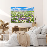 Paul Sinus Wandbild 120x80cm Gänseblümchen Blumenwiese Wiese Sommer Wildblumen