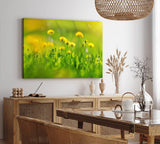 Paul Sinus Wandbild 120x80cm Grüne Wiese Blumen Löwenzahn Wildblumen Sommer