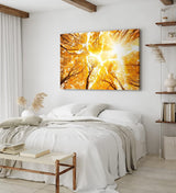 Wandbild 120x80cm Bäume Baumkronen Eiche Sonnenstrahl Sonnenschein Wald
