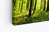Paul Sinus Wandbild 120x80cm Wald Bäume Sonnenstrahlen Natur Sommer Grün