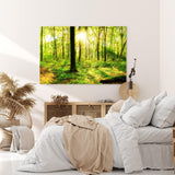 Paul Sinus Wandbild 120x80cm Wald Bäume Sonnenschein Grün Natur Sonnenstrahl