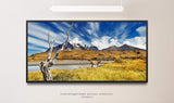 Tiere in Chile ca. 130x70cm Wandbild inklusive Schattenfugenrahmen schwarz - Panorama Leinwand Bild XXL Format Wandbilder Wohnzimmer Wohnung Deko Kunstdrucke