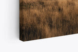 Paul Sinus Wandbild 120x80cm Felsen Felsformation Berge Natur schottische Landschaft